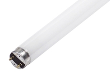 Fluorescent Lamps